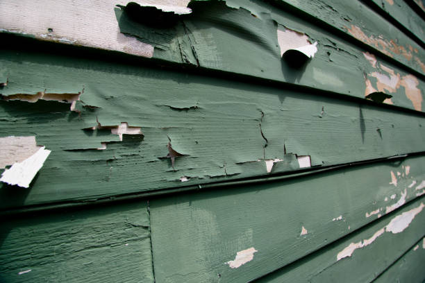Best Shed Removal  in Delphi, IN